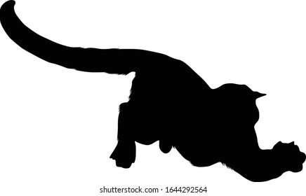 Cougar (Felis Concolor) Silhouette Vector Found In Map Of North America