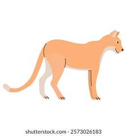 Cougar icon clipart avatar logotype isolated illustration