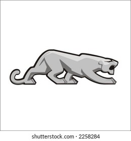 Cougar isolated vector