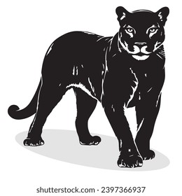 Cougar silhouettes and icons. Black flat color simple elegant white background Cougar animal vector and illustration.