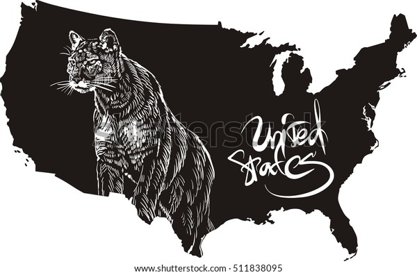 puma us stock