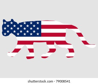 Cougar Usa Stock Vector (Royalty Free) 79008541 | Shutterstock