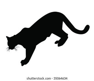 cougar vector illustration