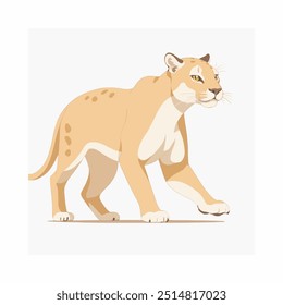 Cougar Wildlife Nature Animal Predator