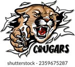 cougars mascot ripping through the background for school, college or league sports