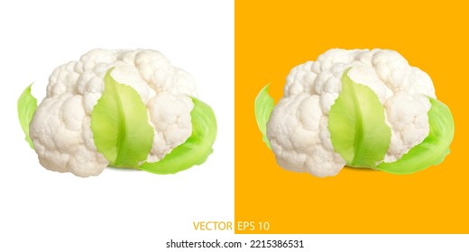 Couliflower realistic vector illustration. Cabbage highly detailed vector isolated on white. Healthy superfood theme.