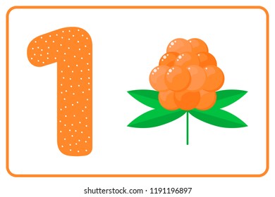 Count for kids. Vector illustration. Berries. Color numbers. The study of mathematics for children of kindergarten, preschool age. One. 1