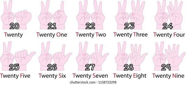 Count Twenty to twenty nine in vector style on white background