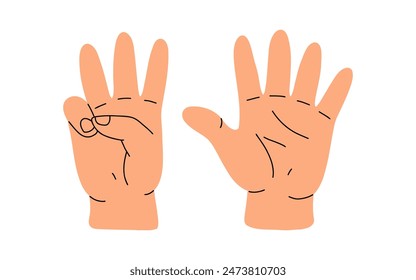 Counting with fingers. Hand gesturing, arm showing one, two, three, four and five numbers, digits. Countdown, score, elementary math learning. Flat vector illustration isolated on white background