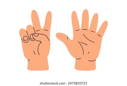 Counting with fingers. Hand gesturing, arm showing one, two, three, four and five numbers, digits. Countdown, score, elementary math learning. Flat vector illustration isolated on white background