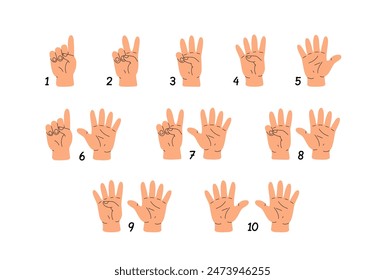 Counting with fingers. Hand gesturing, arm showing one, two, three, four and five numbers, digits. Countdown, score, elementary math learning. Flat vector illustration isolated on white background