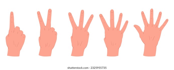 Counting hands gestures. Cartoon hand palms with count from one to five gestures. Human hands with countdown gestures flat vector illustration set