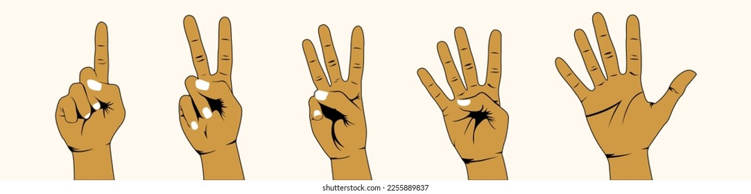 counting hands vector illustrations. counting 1-5 hand vector. Counting fingers. Hand gestures cartoon illustrations. communication language, pose and gesturing.