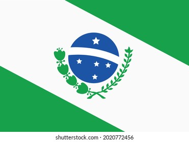 Country Flag Illustration. South Brazil State Flag
