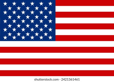 country flag. USA flag. vector image