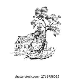 Country house, cottage under tree, hand drawn pen drawing, vector illustration of suburban real estate.