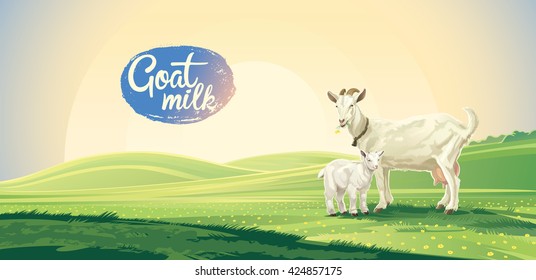 Country landscape with goat and kid for meadow, for pasture. Vector illustration.