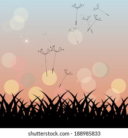 country landscape with silhouette of dandelion seeds carried by a gentle breeze at sunset