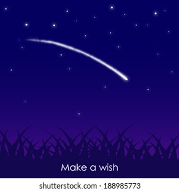 country landscape with spectacular sight of a falling star in the summer night sky