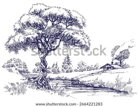 Country landscape with a tree on a small river drawing