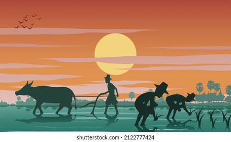 country life of farmer plant rice and another plow field by buffalo ,vector illustration
