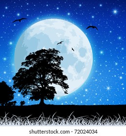 A Country Meadow Landscape with Moon and Night Sky