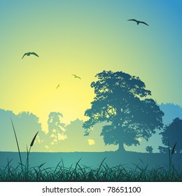 A Country Meadow Landscape with Trees and Birds