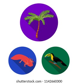 Country Mexico flat icons in set collection for design. Mexico and landmark vector symbol stock web illustration.