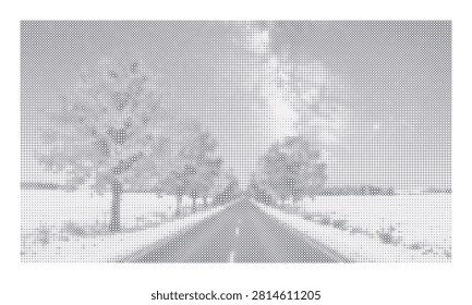 country road lined with trees forming pattern abstract road trees dappled sunlight.