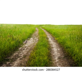 Country road through the fields, vector