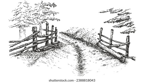 Country road with wood fence and trees along way in hand drawn sketch style. Vintage monochrome nature composition isolated on white background. Vector grayscale retro illustration.