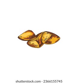 Country style fried potatoes slices with golden crust. Baked potato wedges. Appetizing dishes and fast food. Vector illustration isolated on white background.