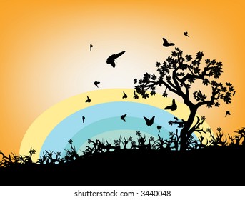 Country sunset