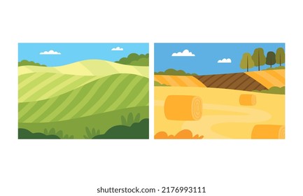 Country View with Sown Field and Pasture Land as Green Landscape Vector Illustration Set