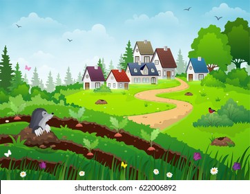 Country village landscape with farm houses, vegetable garden and green lawn.