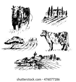 Countryside collection. Set of hand drawn landscapes and cows