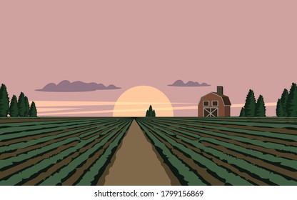 Countryside farm at sunset with house