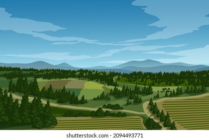 Countryside landscape with coniferous forest and farmland in aerial view