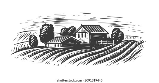 Campos de campo. Esbozo rústico rural vintage ilustración vectorial