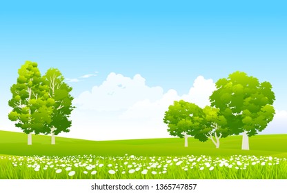 countryside landscape with grass field