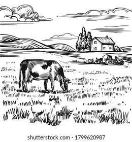 Countryside landscape, rural farm view with a cow on the meadow, old country house, field and hills. Hand drawn black and white sketch, vintage etching stock vector illustration.