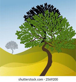 countryside with landscape and trees vector