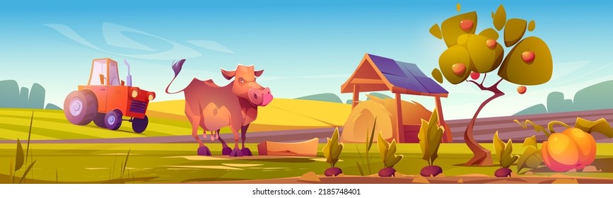 Countryside scene with cow, agriculture fields and meadows, farm tractor and hay in barn. Vector cartoon illustration of rural landscape with green grass, cattle animal, straw and crop in garden