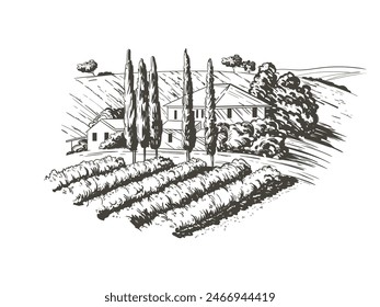 Paisaje rural en la Toscana, Italia. Ilustración vectorial de dibujo hecha a mano. Estilo Antiguas. Vector monocromo grabado estilo boceto antiguo.