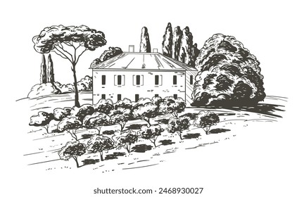 Paisaje rural en la Toscana, Italia. Ilustración vectorial de dibujo hecha a mano con plantas de olivo en primer Plan, casa y árboles de fondo. Estilo Antiguas. Vector monocromo grabado en boceto antiguo.