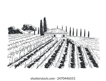 Paisaje rural en la Toscana, Italia. Ilustración vectorial de dibujo hecha a mano. Estilo Antiguas. Vector monocromo grabado estilo boceto antiguo.