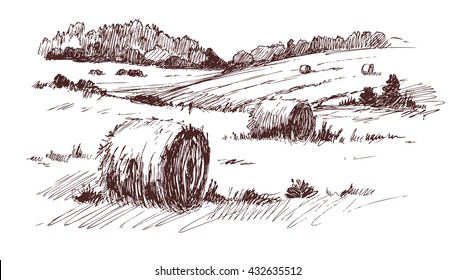 Countryside sketch. Vector illustration