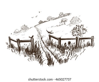 Countryside Sketch. Vector Illustration