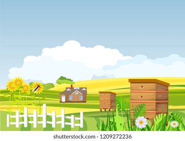 Countryside, sunflowers, farmland, hives, green meadow and hills, agriculture theme, cow and village house