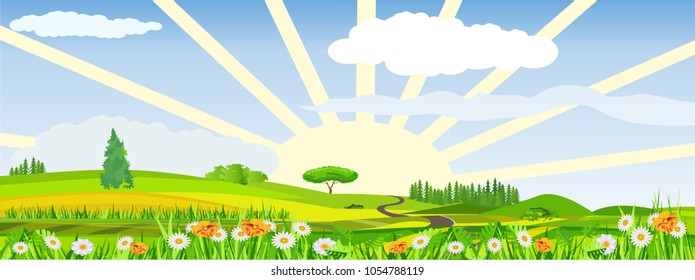 Countryside vector illustration, blowing flowers on meadow, rising sun, outdoor concept, nature landscape